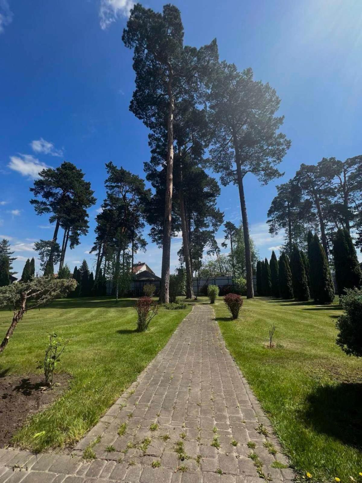 Borovik Novosilki Exterior foto